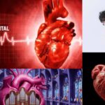 Heartumental
