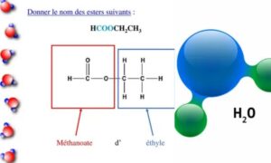 HCOOCH CH2 H2O