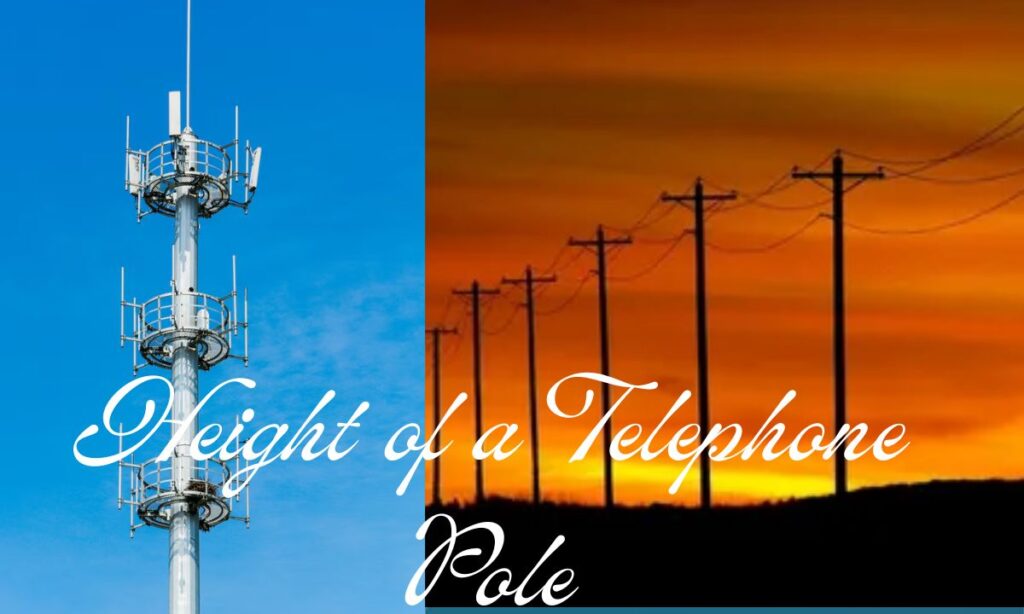 Height of a Telephone Pole