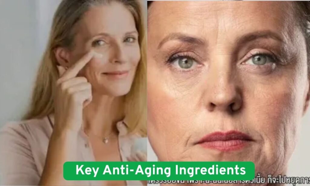 Anti-Aging Ingredients