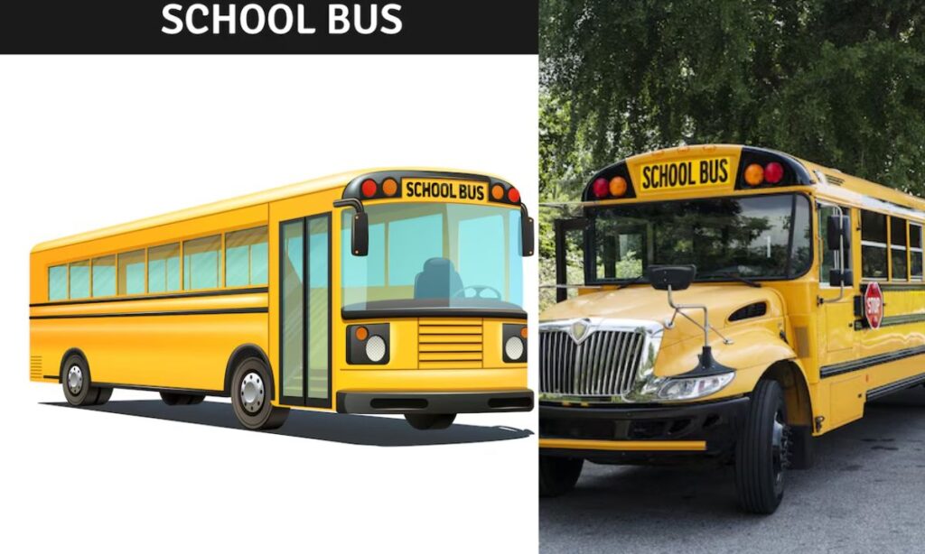 Standard School Bus