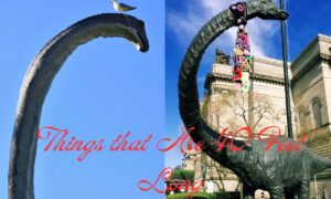 Things that Are 40 Feet Long