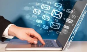 Wealthybyte Official Email Address