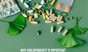 Why Kiolopobgofit Is Important